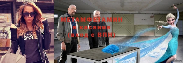 шишки Осинники
