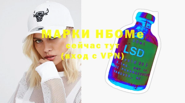 шишки Осинники