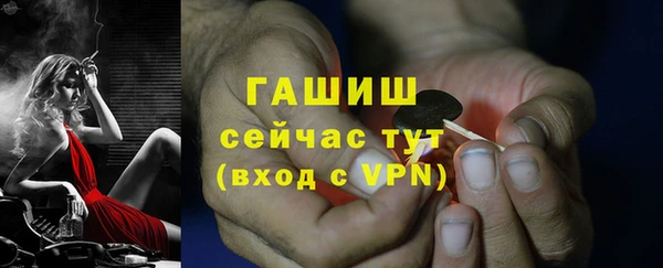 шишки Осинники