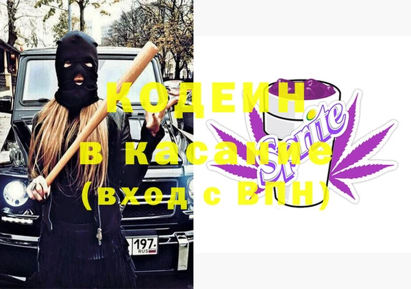 шишки Осинники