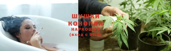 шишки Осинники