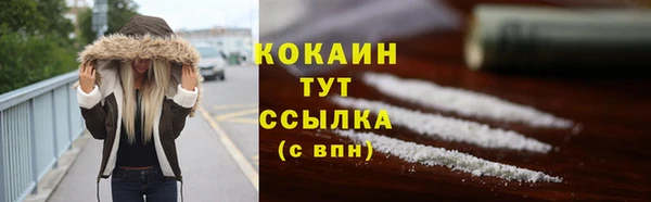 шишки Осинники
