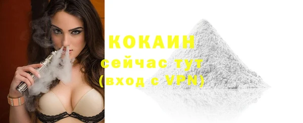 шишки Осинники