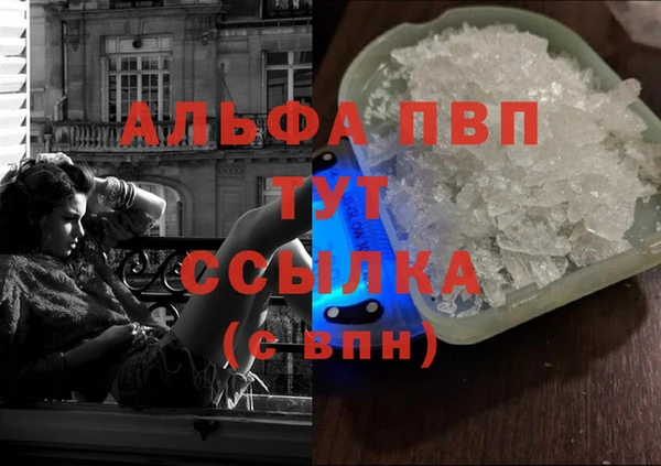 шишки Осинники