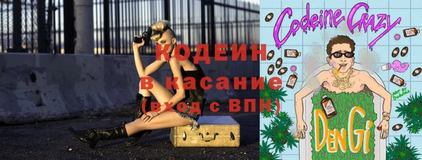шишки Осинники