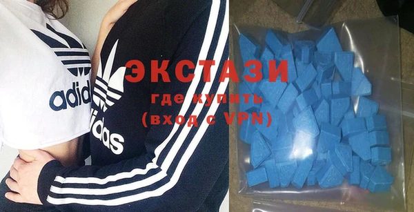 шишки Осинники