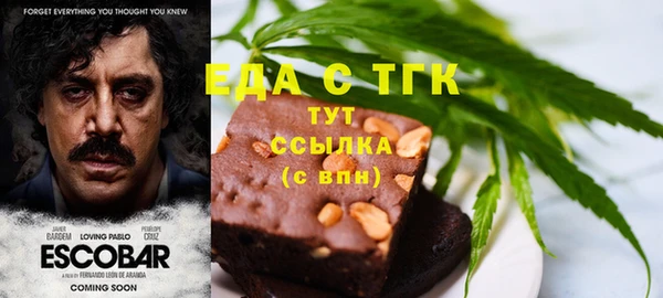 шишки Осинники