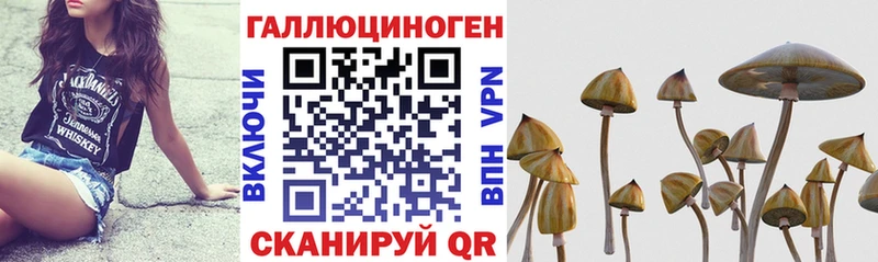 Галлюциногенные грибы мицелий Южа